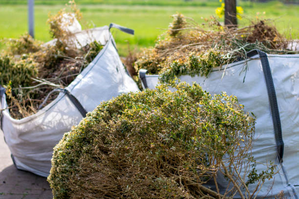 Best Residential Junk Removal  in Minerva, OH